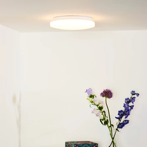 Lucide OTIS - Flush ceiling light - Ø 26 cm - LED - 1x14W 3000K - Opal - atmosphere 1